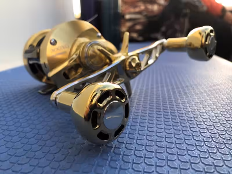 ゴメクサス　22オシアコンクエスト