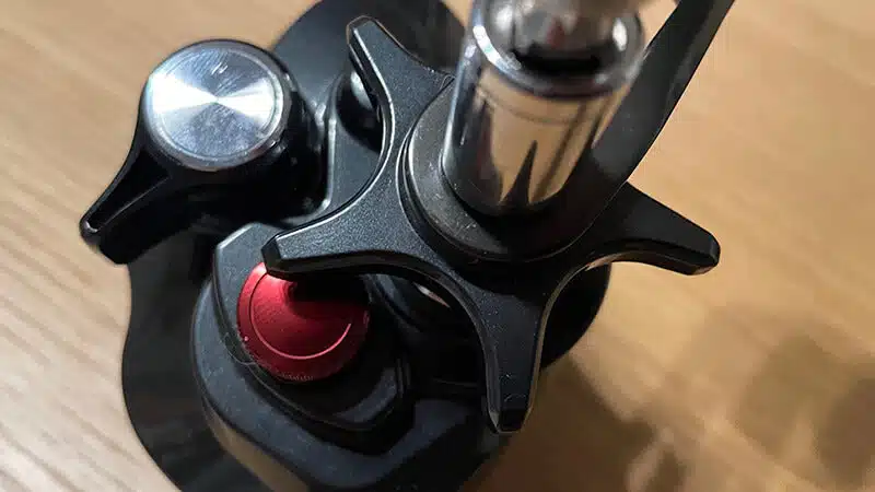 ゴメクサス　CH-T30