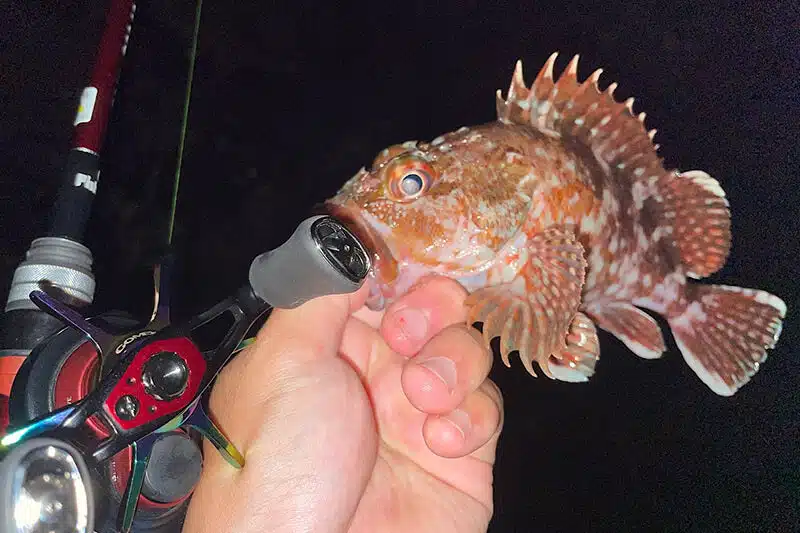 21月下美人 AIR TWにゴメクサスのスタードラグを取り付け