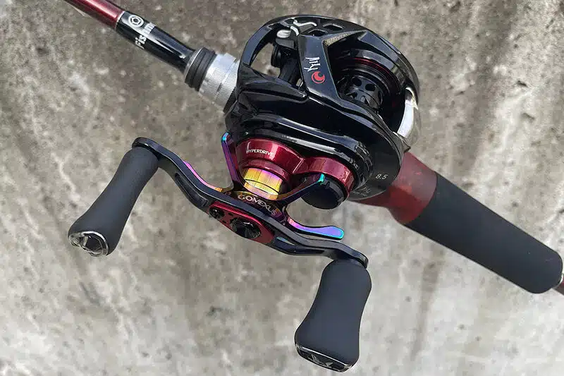 ゴメクサスのカローラのスタードラグ