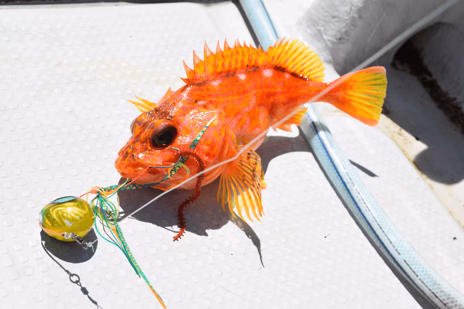 ゴメクサス ディープタイラバ ハンドル