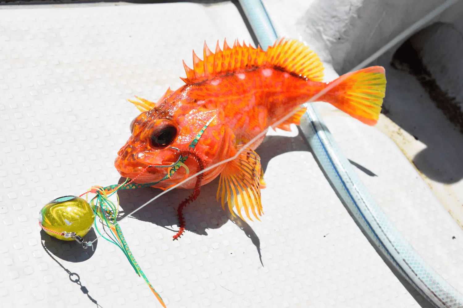 ディープタイラバにはバランサー付きのパワーハンドルがおすすめ! 3 ゴメクサス ディープタイラバ ハンドル