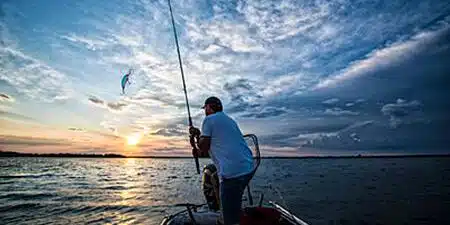 egging 01 520x500 ae840794 4ec7 4aee 9504 534f4d5712b1