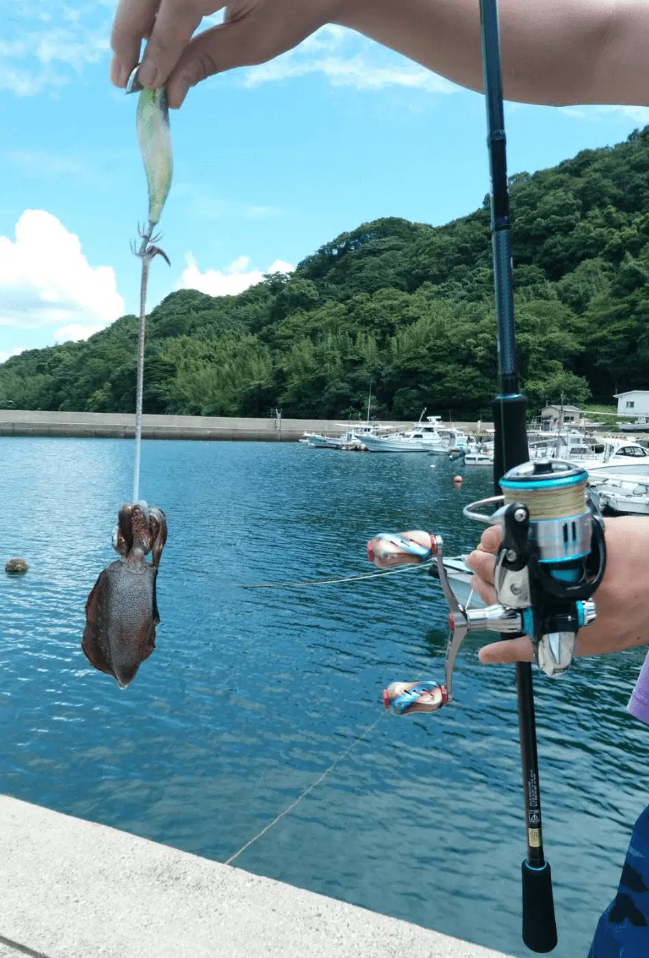 【ゴメクサス】新作のSOLIDをカスタムし、エギングやろう 3 ゴメクサス ソリッド