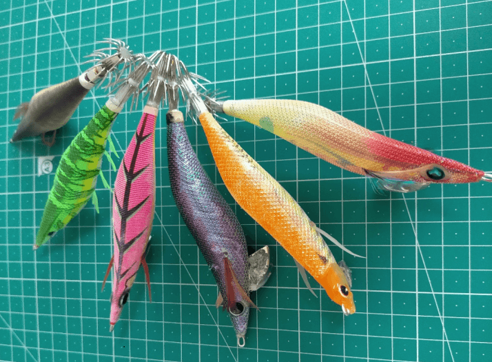 ゴメクサス　エギング