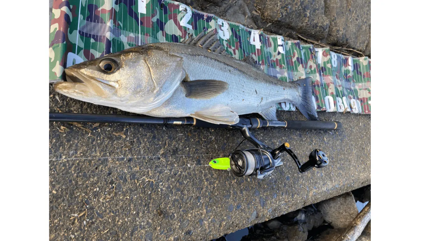 ゴメクサス　カスタムパーツ　シングルハンドル＆リールスタンド