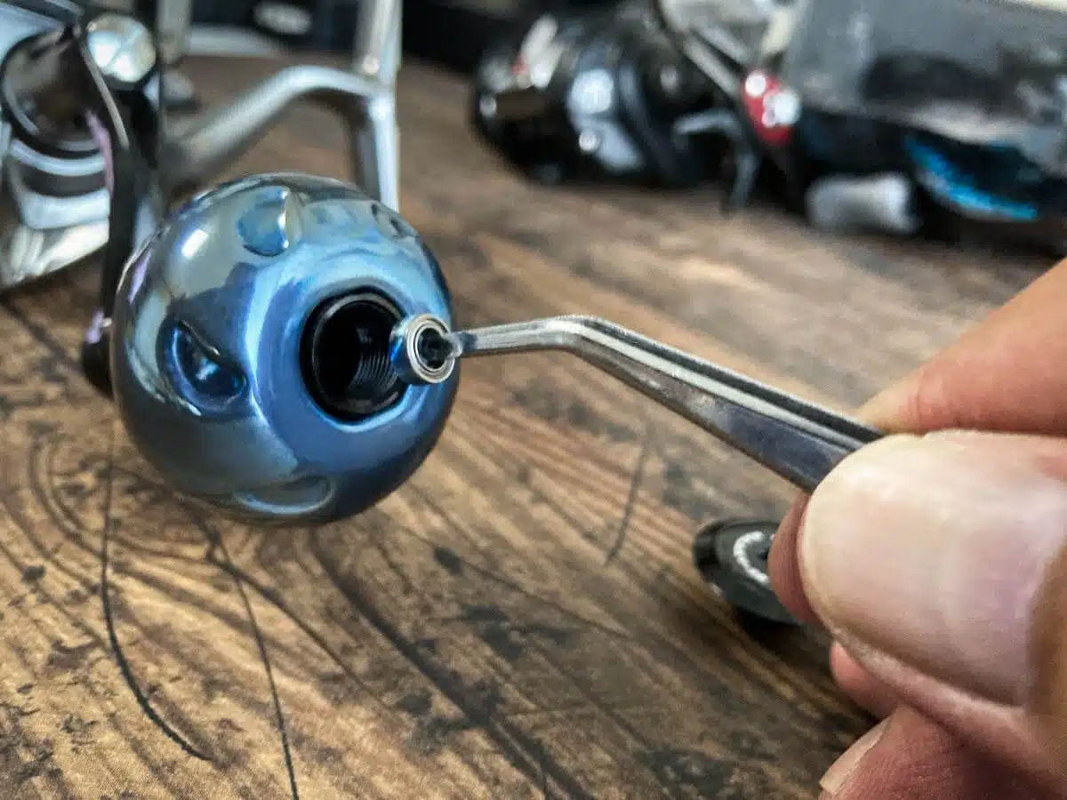 ゴメクサス ギャラクシー