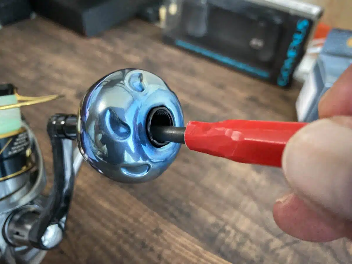 ゴメクサス ギャラクシー