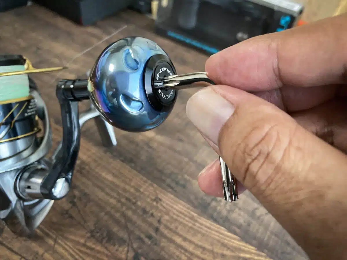 ゴメクサス ギャラクシー