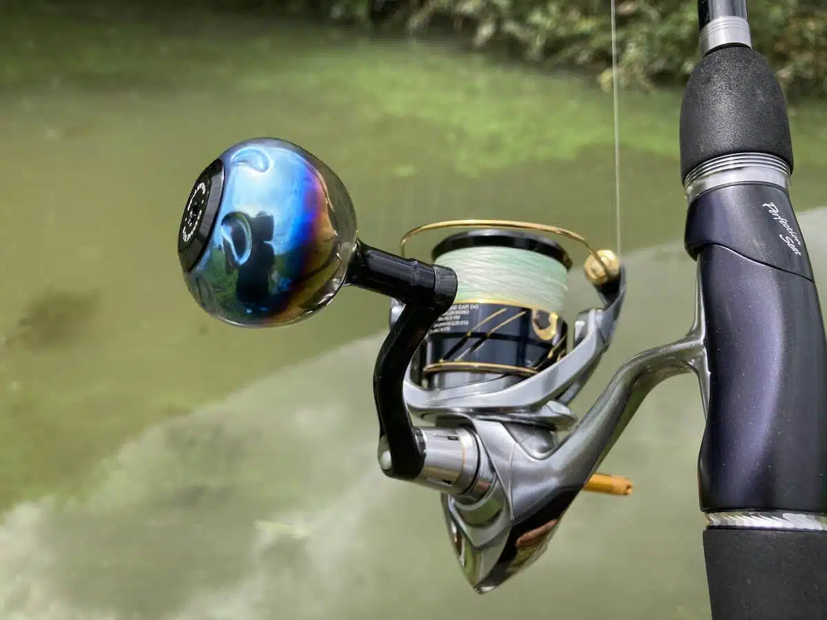 ゴメクサス ギャラクシー