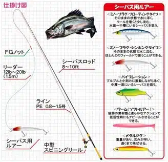 初心者必見! シーバス(スズキ)完全マニュアル その② 3 image1 3a3404c4 b742 4a49 8f24