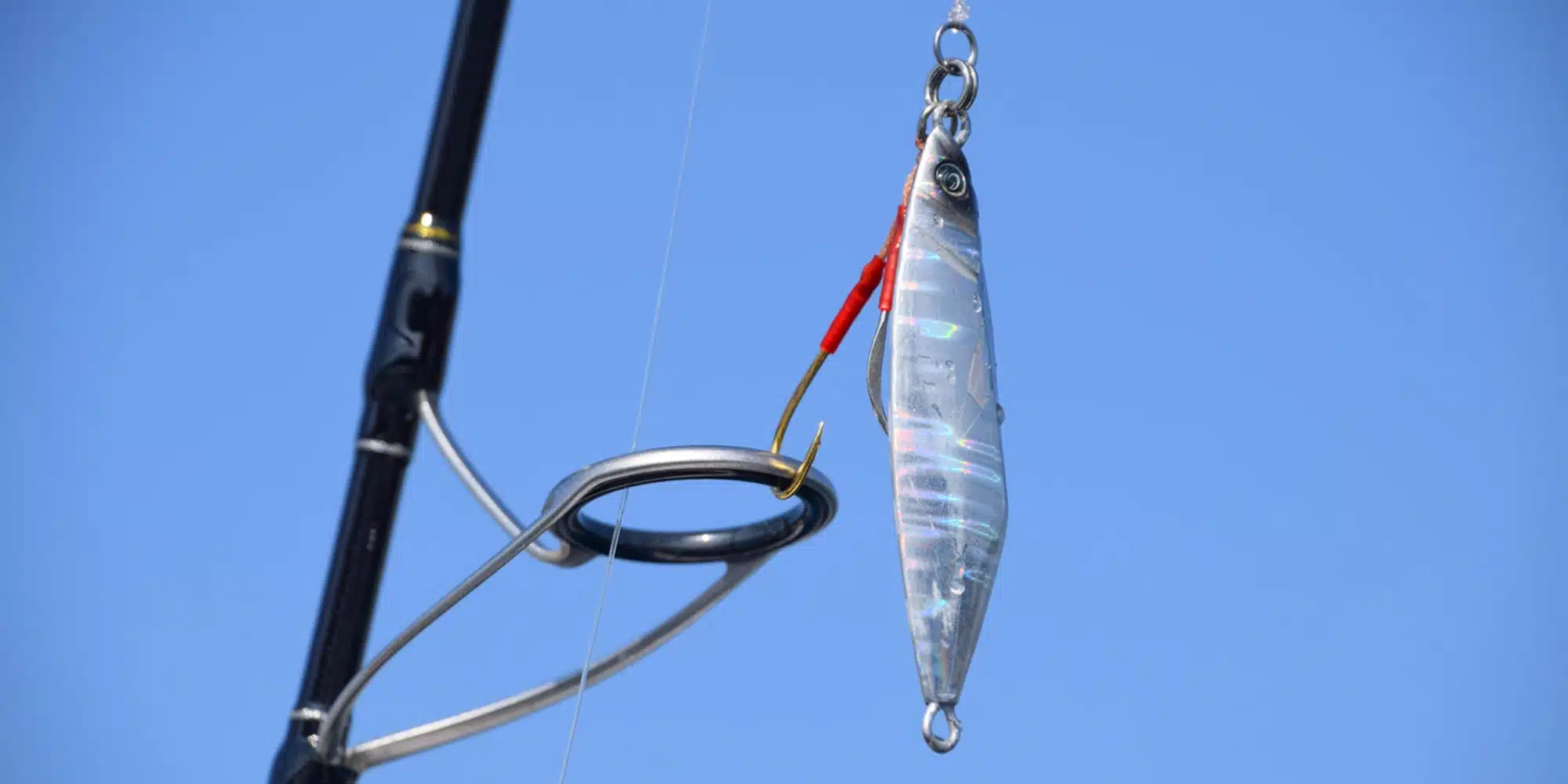 lQDPJxaTrKIYklTNA jNB9CwIPWkvwS7aIUC8wQV98AnAA 2000 1000