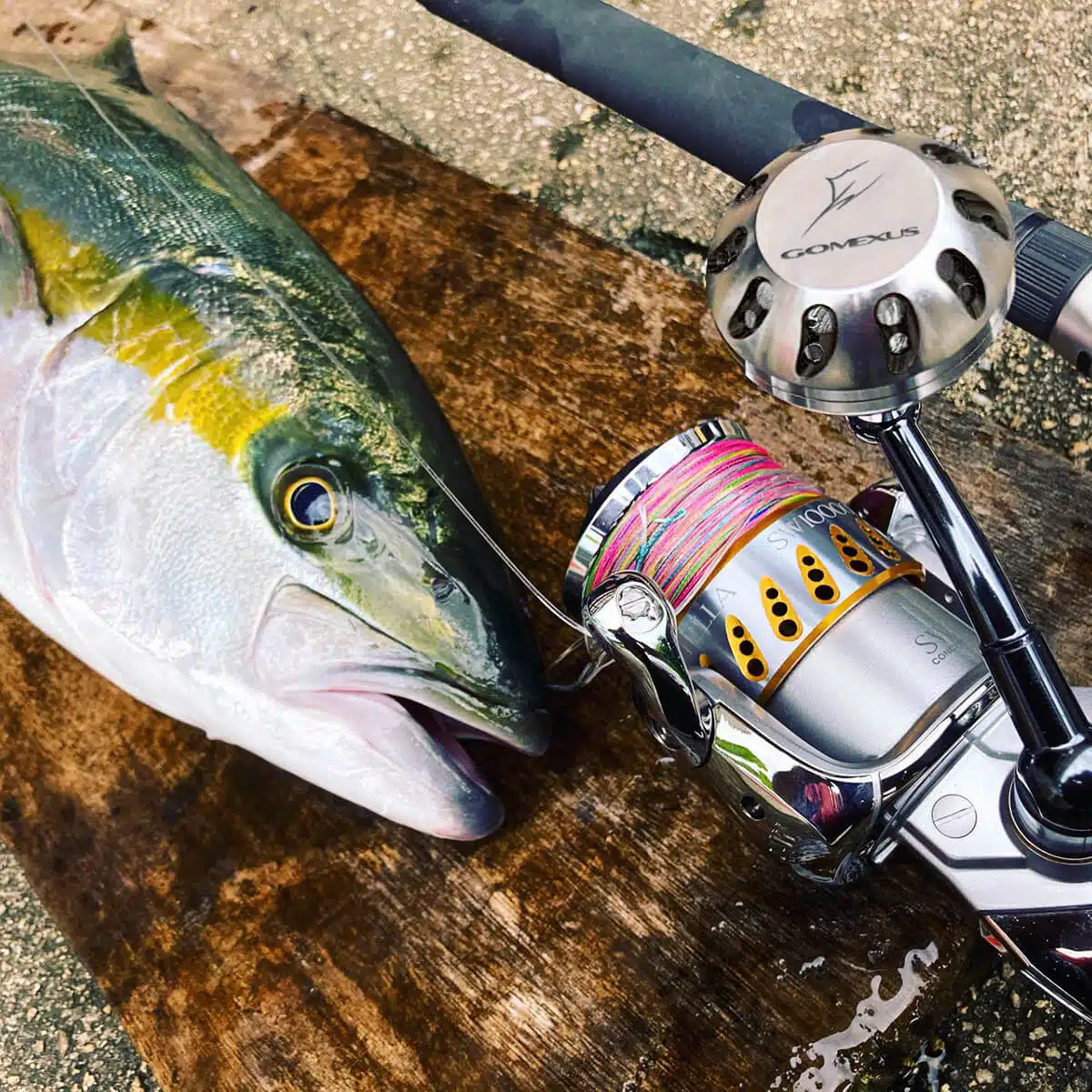 ライトショアジギング リール