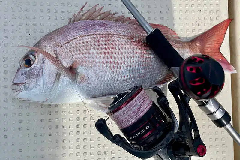 20ヴァンフォードにHunterシリーズのシングルハンドルを装着! 10 ゴメクサスのハンドルを使い、青物狙い