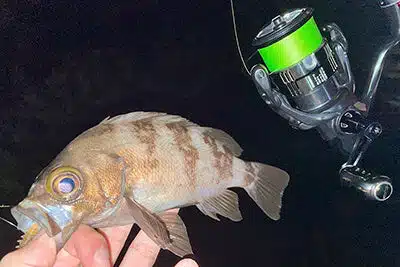 19ヴァンキッシュにシングルハンドルを取り付けてみた!使用感はいかに? 2 バンキッシュにハンドルを取り付け