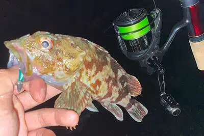 19ヴァンキッシュにシングルハンドルを取り付けてみた!使用感はいかに? 10 バンキッシュにゴメクサスでカスタム