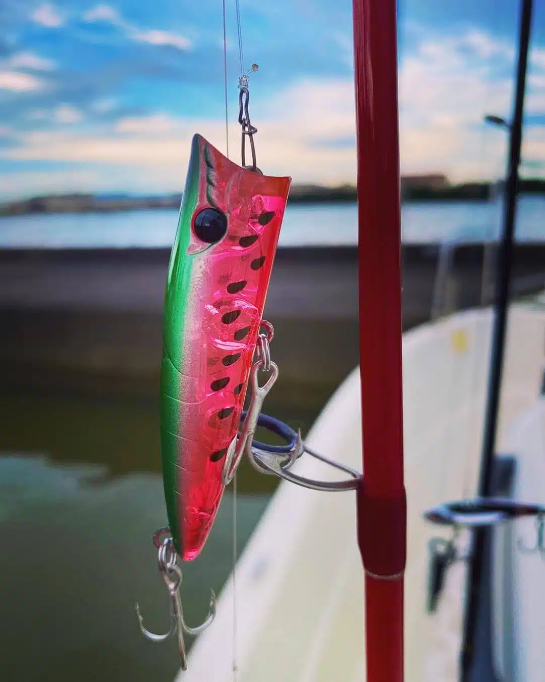 ゴメクサス　ルアー塗装