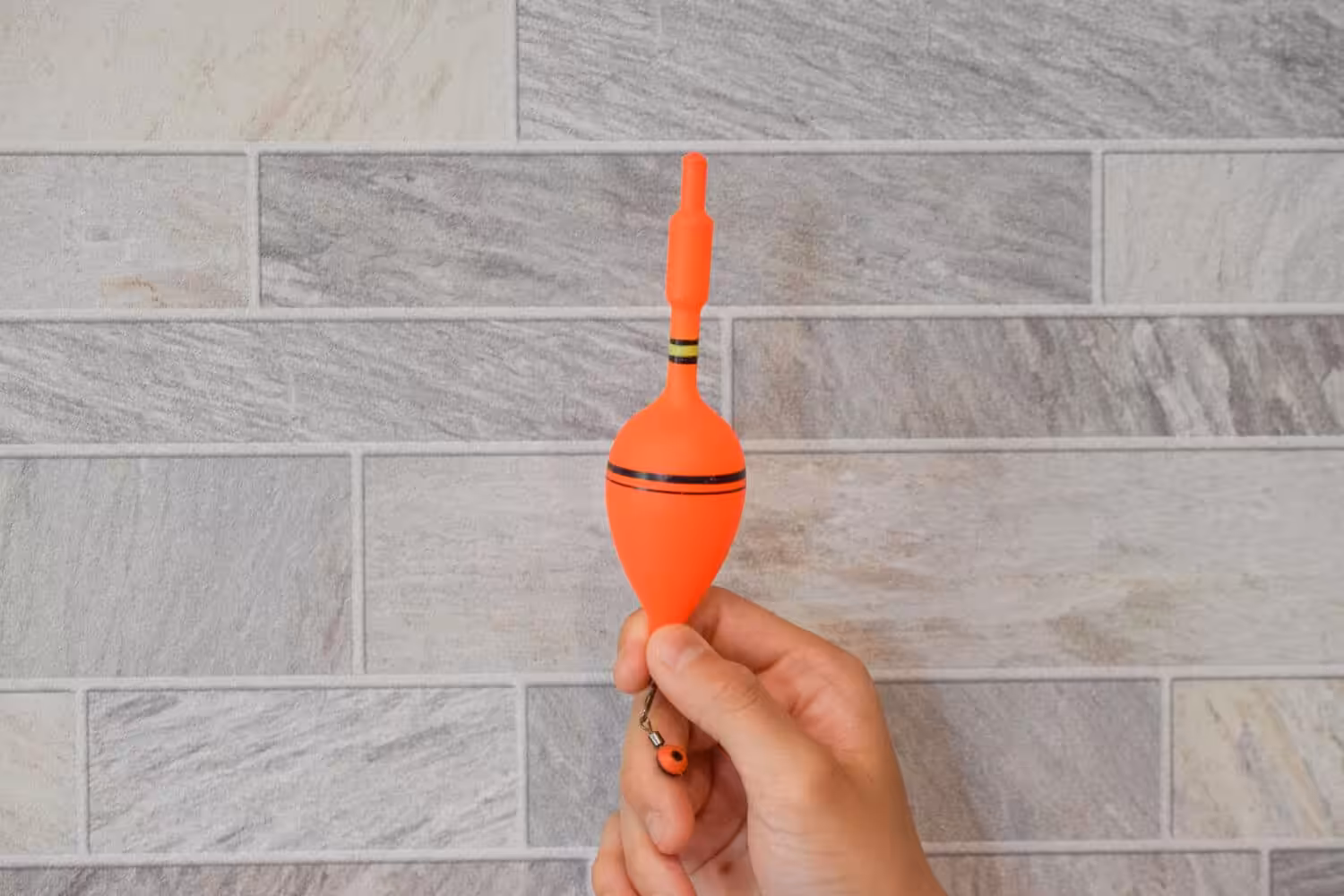 ゴメクサス　サバの切り身　エサ