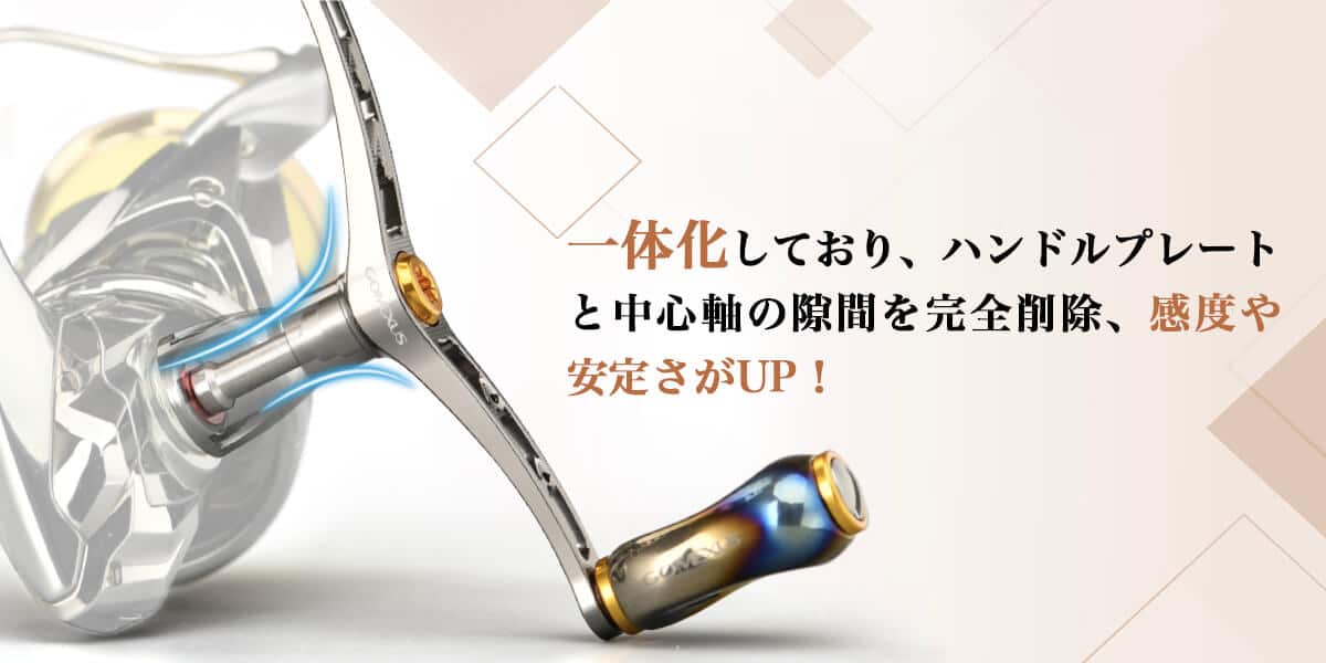 ゴメクサス　ソリッド” width=