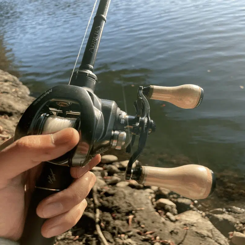 ゴメクサス コルク製ノブ