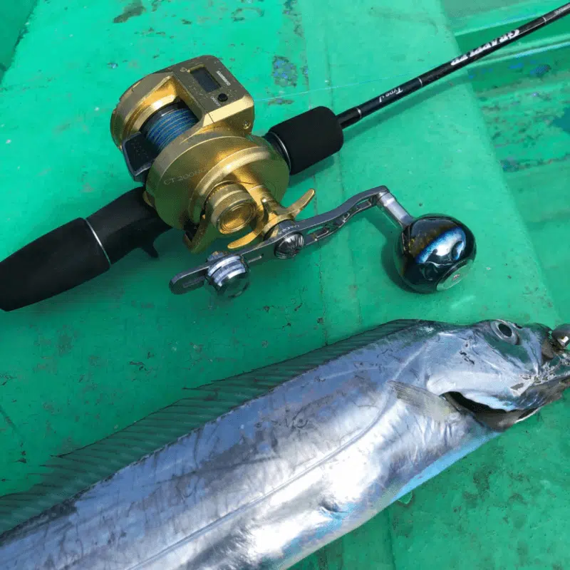 カスタムハンドル取り付けの釣果図