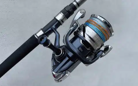 p6 444928fd 43f2 41d7 af72