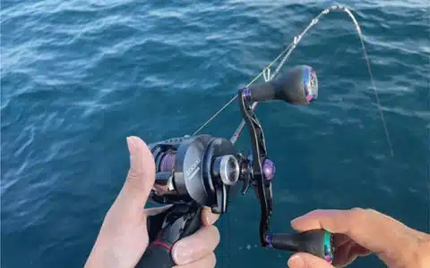 ゴメクサスのダブルハンドル「CH-A27-SP」を徹底紹介!カラー比較も 8 p7 b83bda99 6eef 420a bc05