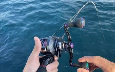 ゴメクサスのダブルハンドル「CH-A27-SP」を徹底紹介!カラー比較も 8 p7 b83bda99 6eef 420a bc05