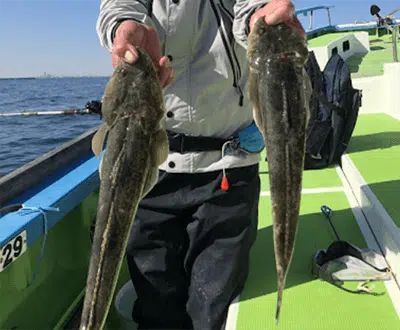 ボートロック釣行記 4 マゴチ