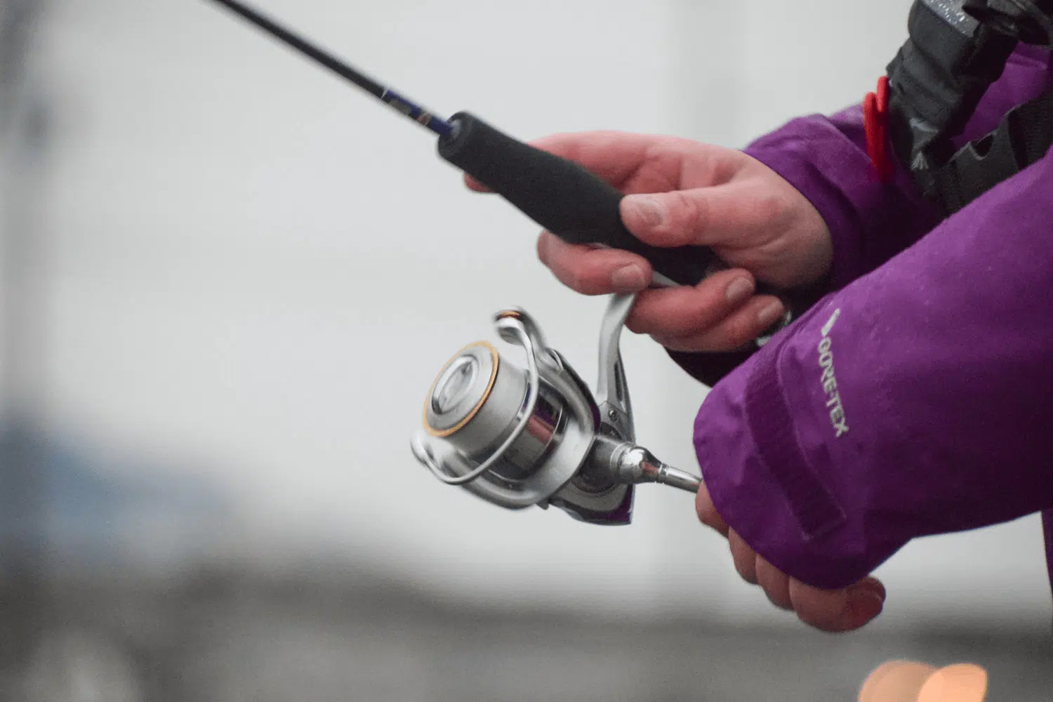 ゴメクサス ロックフィッシュ