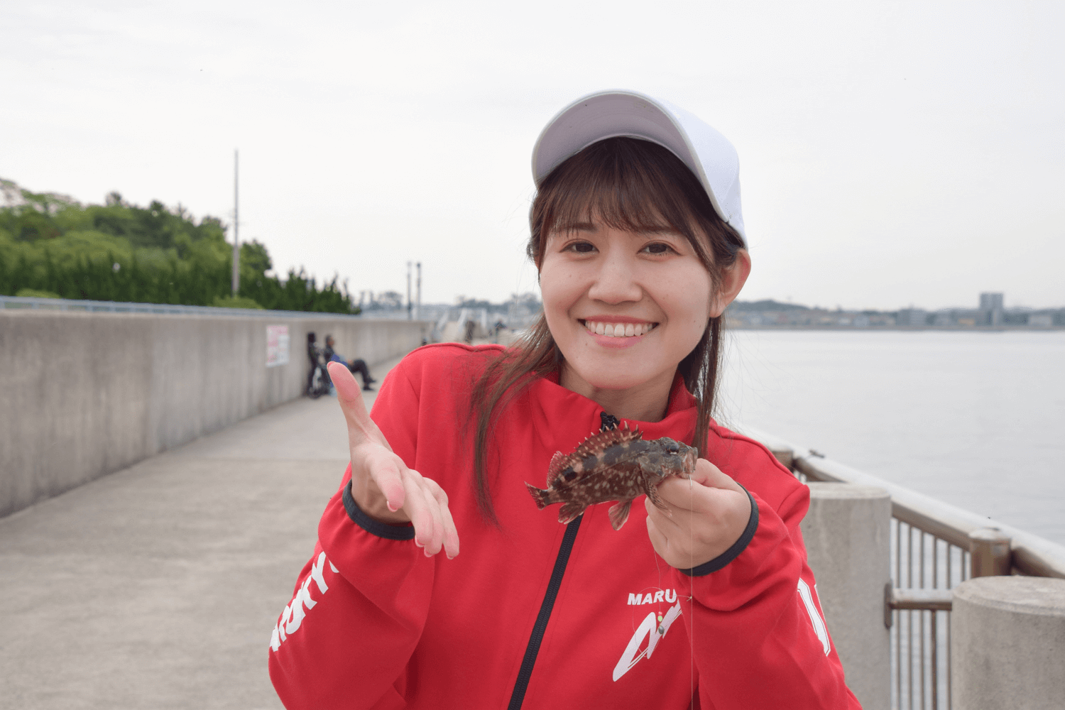 ゴメクサス ロックフィッシュ