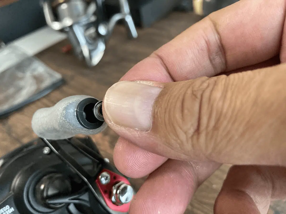 ゴメクサス　フィネスタッチ