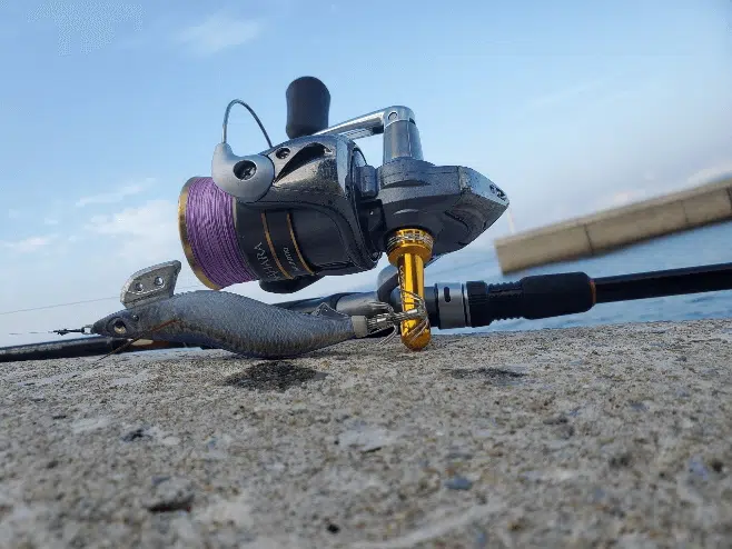 サハラ　リールスタンド