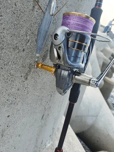 サハラ　リールスタンド