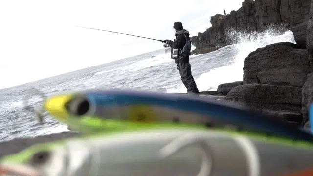 【ゴメクサス】お手軽で簡単なシーバス釣り!ルアーの選び方や魅力を紹介 4 ゴメクサス シーバズ