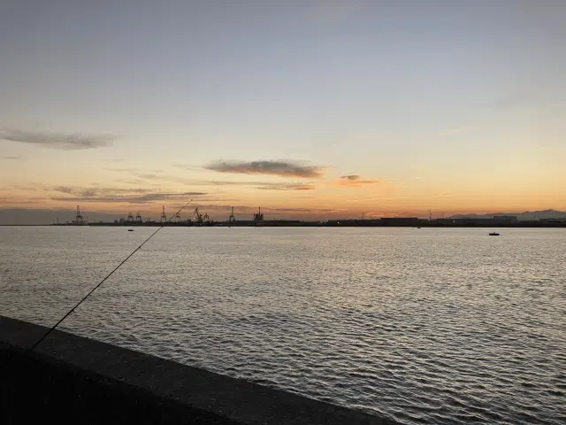 【ゴメクサス】海釣りデビューには春の堤防釣りがおすすめ!初心者や子供連れも安心! 5 ゴメクサス 海釣り