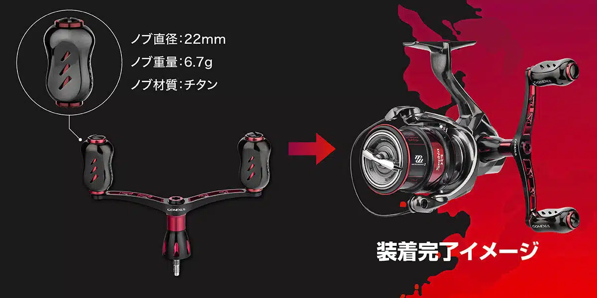 ゴメクサス　セフィア