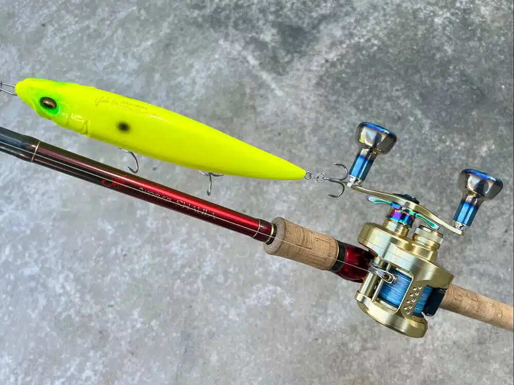 カルカッタコンクエスト　カスタム完了イメージ