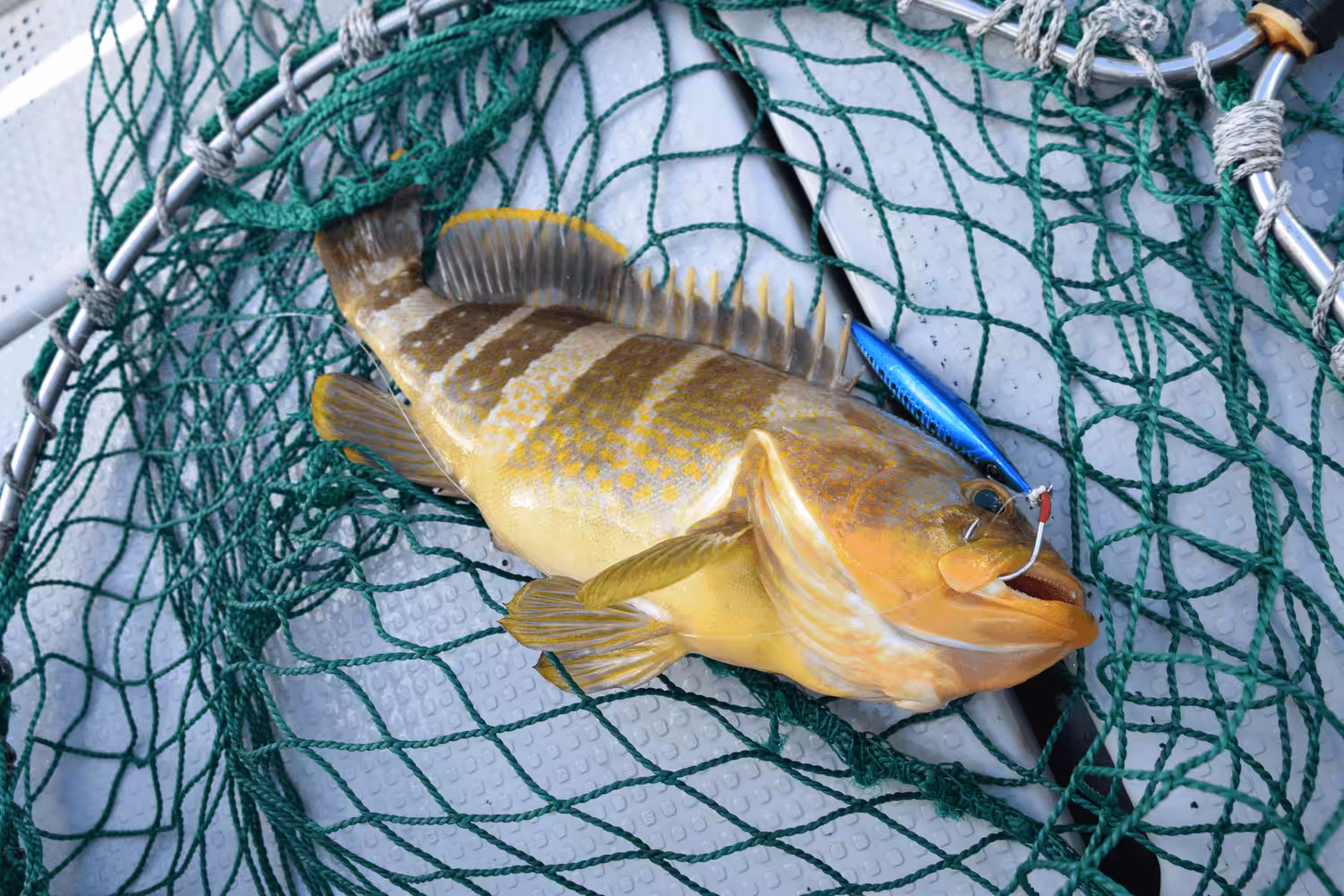 ゴメクサス スーパーライトジギング ハンドル 