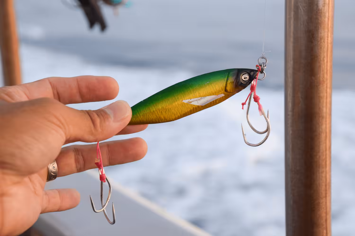 ゴメクサス スロージギング