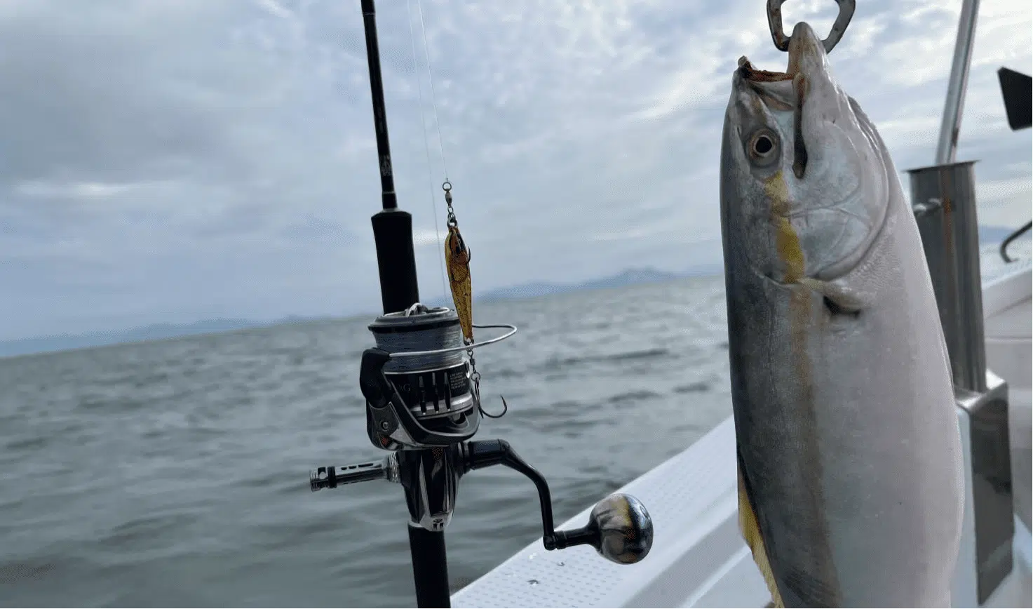 20ストラディックSWにハンドルノブ&リールスタンドをカスタム!大物とのも楽々ファイト 8 20ストラディックSWにゴメクサスノブカスタム実装図