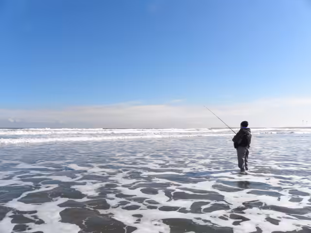 ゴメクサス　夏釣り　魚