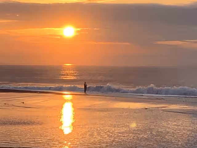 ゴメクサス　ヒラメ ルアー