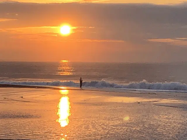 夏のサーフでヒラメを狙え!ヒラメを仕留めるためのルアーの選び方は? 2 ゴメクサス ヒラメ ルアー