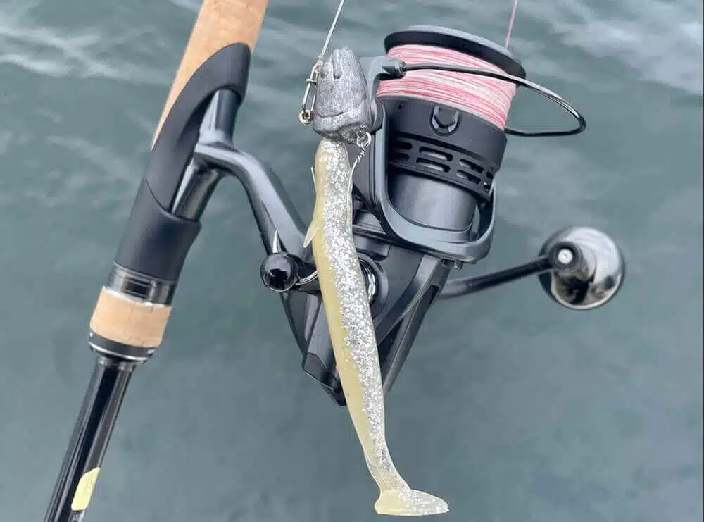 エクスセンスCI4+をカスタム完了イメージ