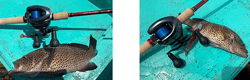 ボートロック釣行記 2 ボートロック タックル