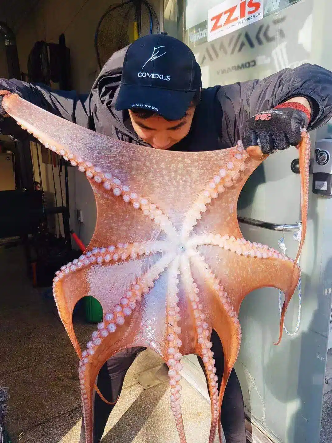 ゴメクサス　タコ釣り