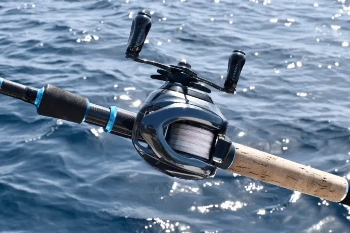 ゴメクサス　TH-T22