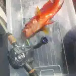 SU24L/SU30L 超長パワーノブTypeA/TypeS 24/30mm　2025新製品 - 画像 (3)