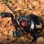 #カラー_レッド